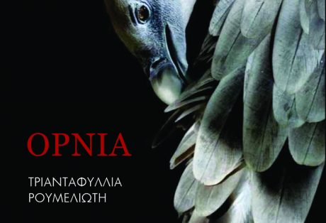 Τριανταφυλλιά Ρουμελιώτη, Όρνια